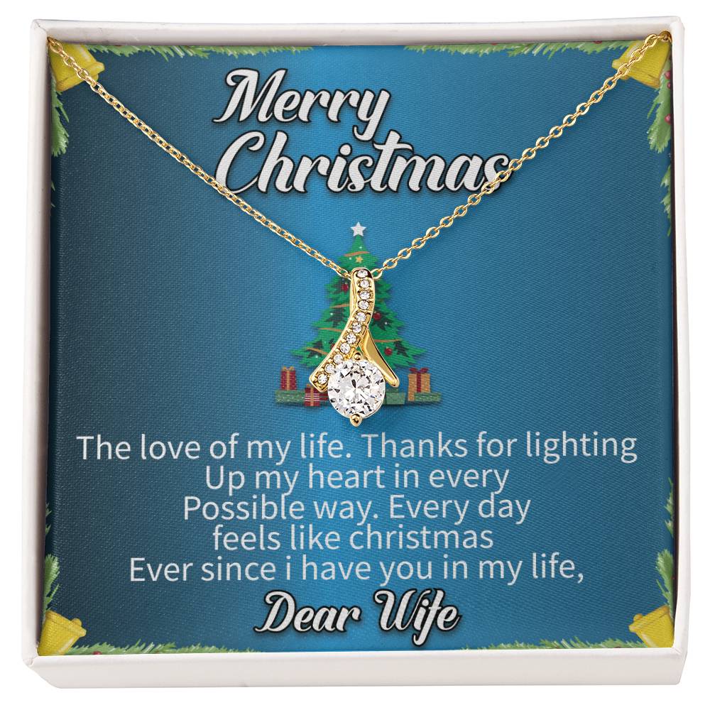 To my wife Merry Christmas The love of_  Alluring Beauty Necklace Gift Jewelry