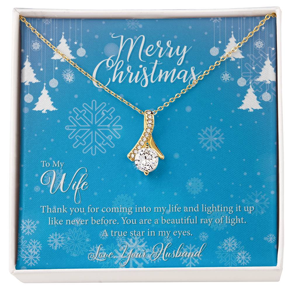 Merry Christmas To My Wife Thank_ Alluring Beauty Necklace Gift  Jewelry