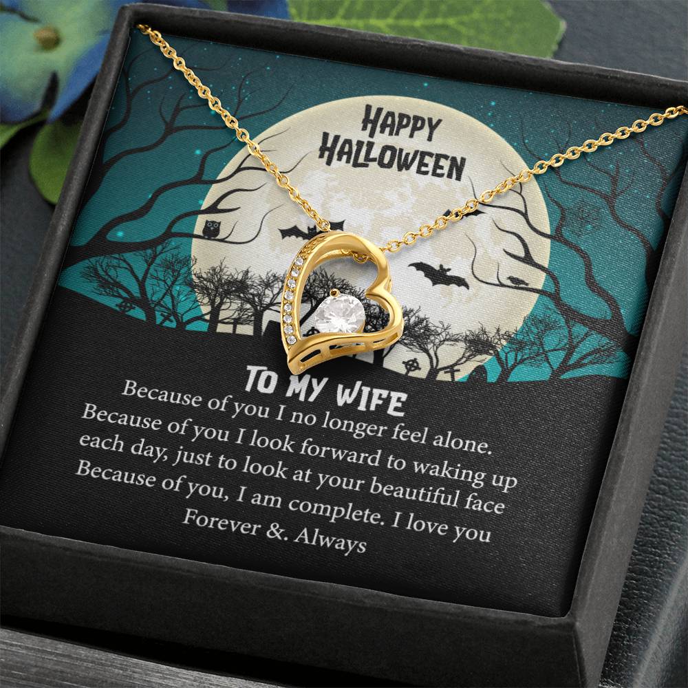 HAPPY HALLOWEEN TO MY WIFE Because_ Gift Necklace Jewelry with a heartfelt durable Message Card